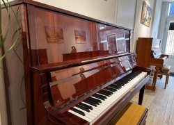 petrof piano 131 concert mahonie 2
