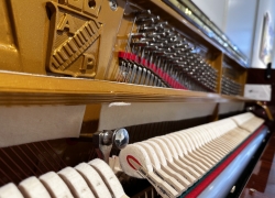 petrof piano 131 concert mahonie
