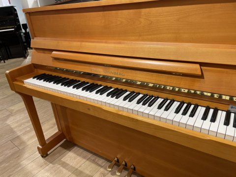 Wilhelm steinberg piano in kerse