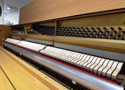 schimmel piano 116s n beuken 11