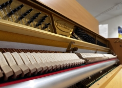 schimmel piano 116s n beuken 12