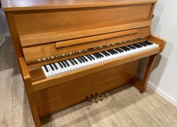 wilhelm steinberg piano in kerse 2