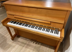 wilhelm steinberg piano in kerse 5