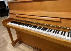 wilhelm steinberg piano in kerse
