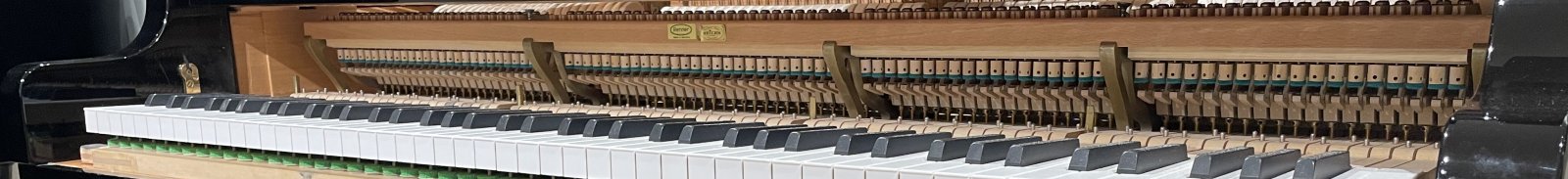 wartung klein klavier fluegel